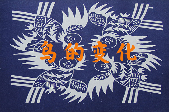鸟的图案