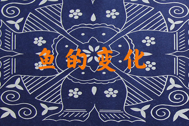 鱼的图案